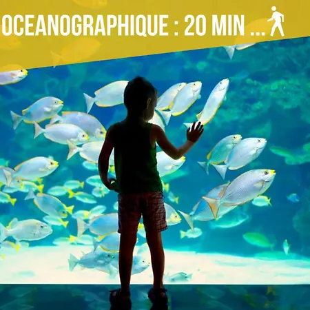 - Sea View - 2 Bedrooms 3 Beds - Rotterdam * Cap-d'Ail