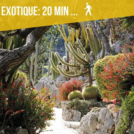 - Sea View - 2 Bedrooms 3 Beds - Rotterdam Apartamento Cap-d'Ail