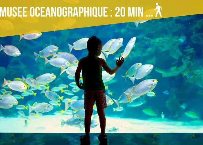 - Sea View - 2 Bedrooms 3 Beds - Rotterdam * Cap-d'Ail