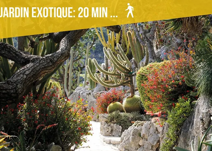 - Sea View - 2 Bedrooms 3 Beds - Rotterdam Apartamento Cap-d'Ail